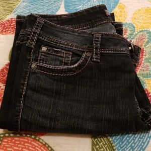 Silver Jeans Suki Surplus